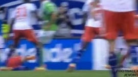 Bundesliga: Hamburger SV 1 - 3 VfL Wolfsburg (2013-2014)