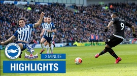Premier League: Brighton 0 - 1 Crystal Palace (2019-2020)