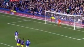 FA Cup: Everton 3 - 1 Swansea City (2013-2014)