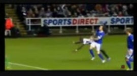 Premier League: Newcastle 1-2 Everton (2012-2013)
