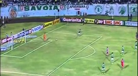 Futebol 365