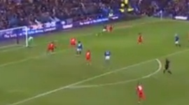 Premier League: Everton 2 - 2 Leicester (2014-2015)