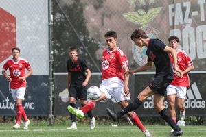 Youth League: Reedição da final de 2022 acaba em empate a um golo entre Benfica e Salzburg