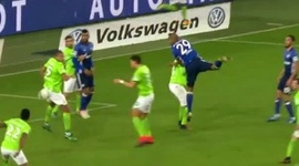 Bundesliga: VfL Wolfsburg 0 - 1 Schalke 04 (2016-2017)