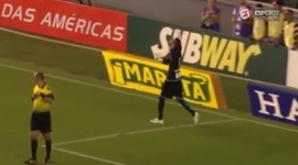 Paulista: Santos 3 - 2 g.p Palmeiras (2016)