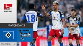 2. Bundesliga: Hamburger SV 3 - 0 Hertha Berlin (2023-2024)