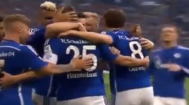 Bundesliga: Schalke 04 3 - 0 VfL Wolfsburg (2015-2016)