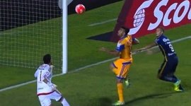 Futebol 365