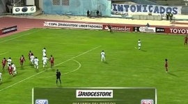 Futebol 365