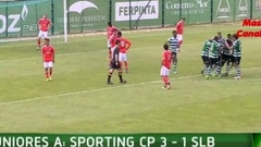 Futebol 365