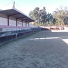 Campo dos Pedrosos