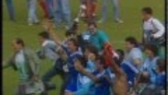 Futebol 365