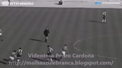 Futebol 365