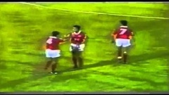 Futebol 365