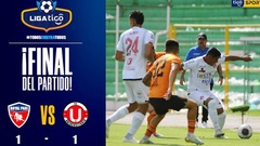 Futebol 365