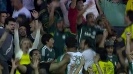 Brasileirão: Criciúma 1 - 2 Palmeiras (2014)