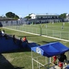 Floro de Mendonça