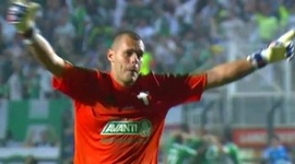 Brasileirão: Palmeiras 2 - 0 Vitória (2014)