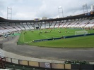 Palogrande