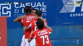 Futebol 365