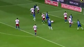 Bundesliga: Hamburger SV 2 - 1 1899 Hoffenheim (2016-2017)