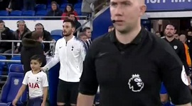 Premier League: Cardiff City 0 - 3 Tottenham (2018-2019)