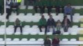 Futebol 365