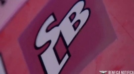 Futebol 365