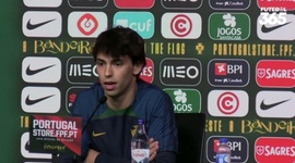 Futebol 365
