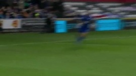 Premier League: Swansea City 2 - 0 Leicester (2016-2017)