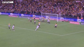 Brasileirão: Criciúma 2 - 1 Botafogo (2024)