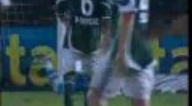 Brasileirão: Palmeiras 1-0 Fluminense (2009)