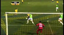 Futebol 365
