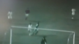 Futebol 365