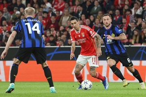 Benfica: a poção mágica de Di Marix