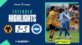 Premier League: Wolves 0 - 3 Brighton (2021-2022)