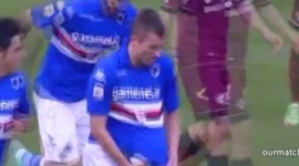 Futebol 365