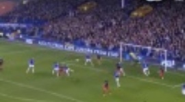 FA Cup: Everton 0-1 Reading (2010-2011)