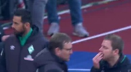 Bundesliga: Nürnberg 1 - 1 Werder Bremen (2018-2019)