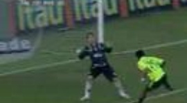 Brasileirão: Palmeiras 3-0 Paraná (2007)