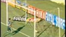 Paulista: Bragantino-SP 2-3 Palmeiras (2010)