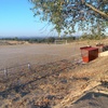 Campo de Jogos Domingos Silvares