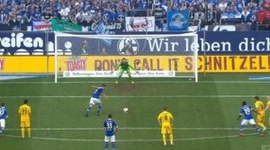 Bundesliga: Schalke 04 4 - 0 1899 Hoffenheim (2013-2014)