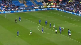 Premier League: Cardiff City 2 - 1 Brighton (2018-2019)