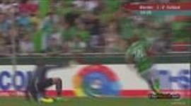 Jogos Amigáveis: Werder Bremen 1-0 Fulham (2013-2014)