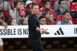"Schmidt vai fazendo o seu currículo com sorte. E pronto, os benfiquistas que aguentem"