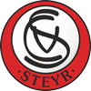 home-team-logo