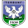 home-team-logo