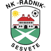 Radnik Sesvete