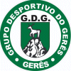 home-team-logo